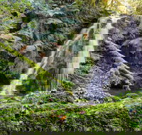 Cascades Walking Track
