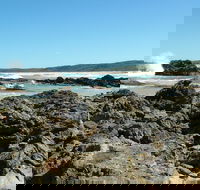 Coastal Walks - Bermagui