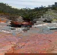 FR Berry Reserve - Your Accommodation