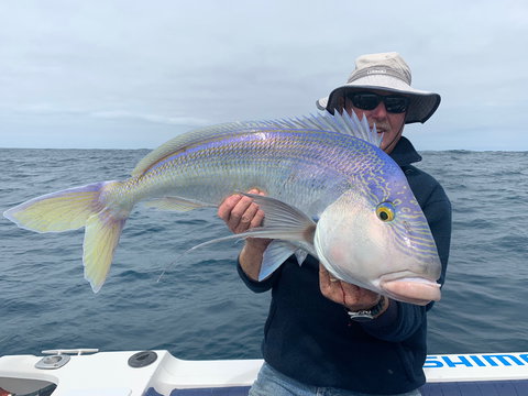 GT Fishing Charters - Your Accommodation 1