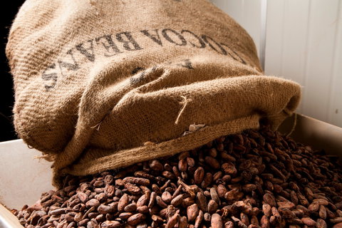 Haigh's Chocolates Visitor Centre - Your Accommodation 2