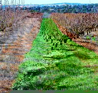 Hall Family Orchards - Your Accommodation