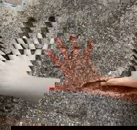 Hands of Fame Park - Your Accommodation