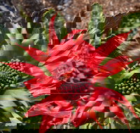 Inverawe Native Gardens - Your Accommodation