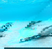 Jurien Bay - Your Accommodation