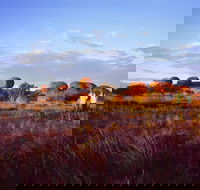 Karlu Karlu / Devils Marbles Conservation Reserve - Your Accommodation