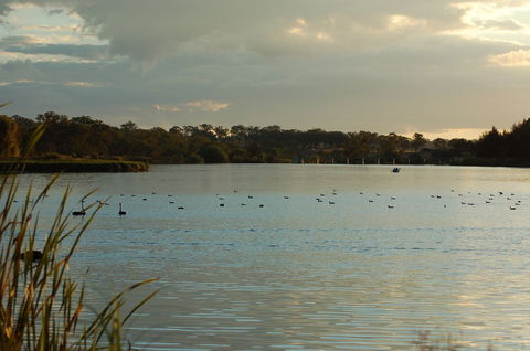 Lake Inverell Reserve - Your Accommodation 0