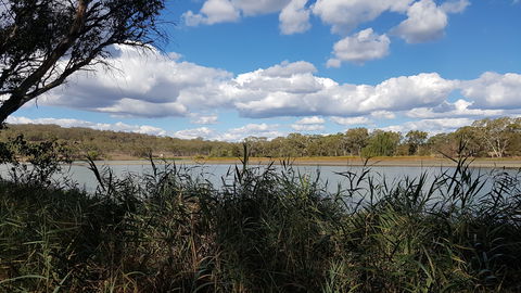 Lake Inverell Reserve - Your Accommodation 1
