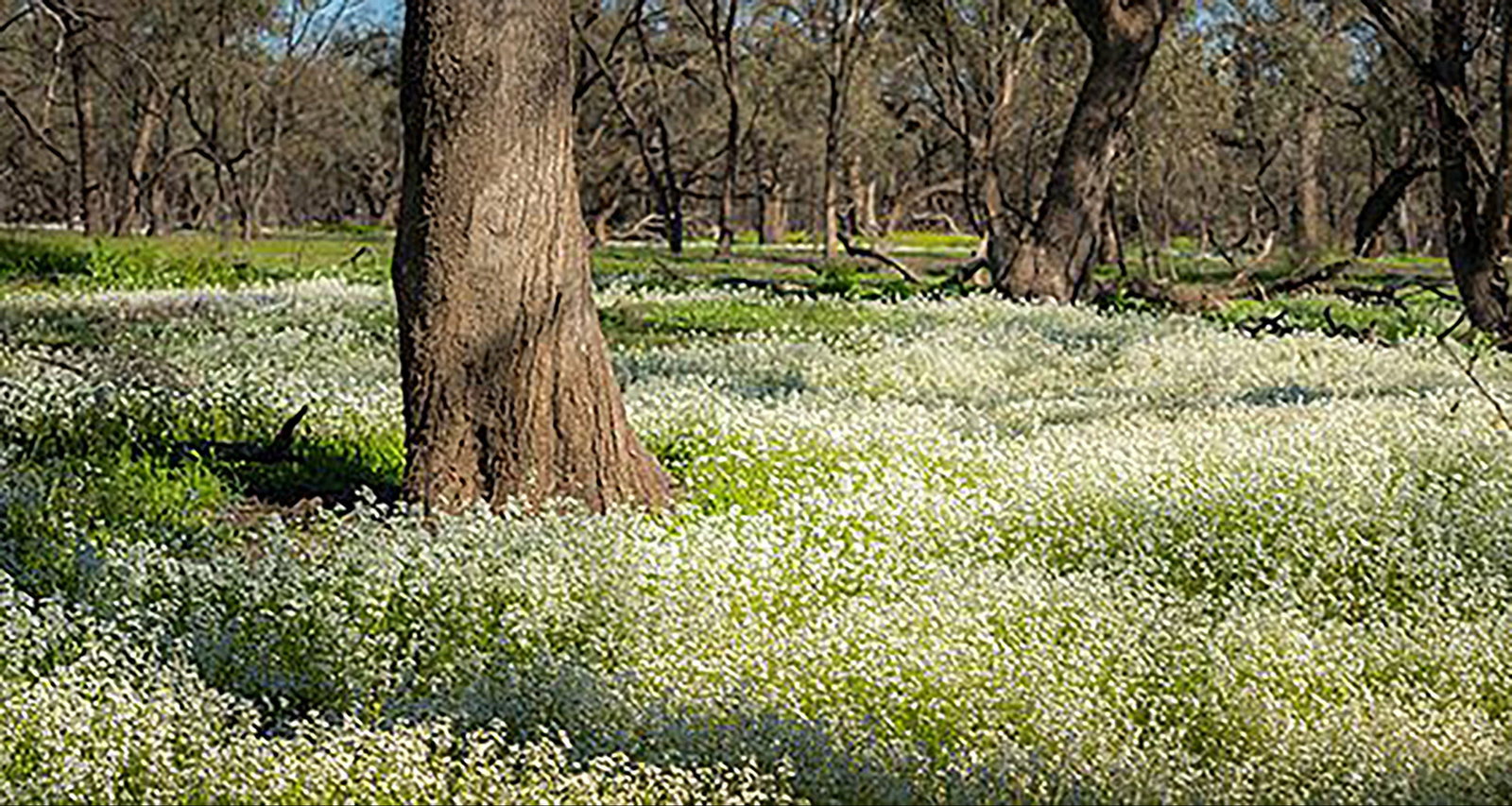 Lake Meran VIC Your Accommodation