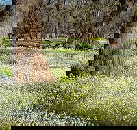 Leaghur State Park - Your Accommodation