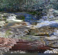 Liffey Falls Reserve - Your Accommodation