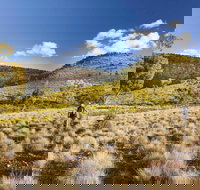 Little Mountain Walking Track - Your Accommodation