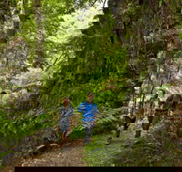Melba Gully - Your Accommodation