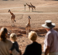 Monarto Safari Park - Your Accommodation