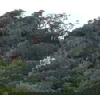 Mount Yarrowyck Nature Reserve - Your Accommodation