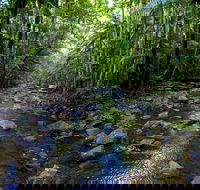 Nambucca Valley - Your Accommodation