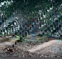 Nerang Mountain Bike Trails - Your Accommodation