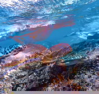 Ningaloo Marine Park - Your Accommodation