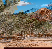 Old Coach Road Drive - Your Accommodation