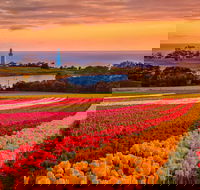 Table Cape - Your Accommodation