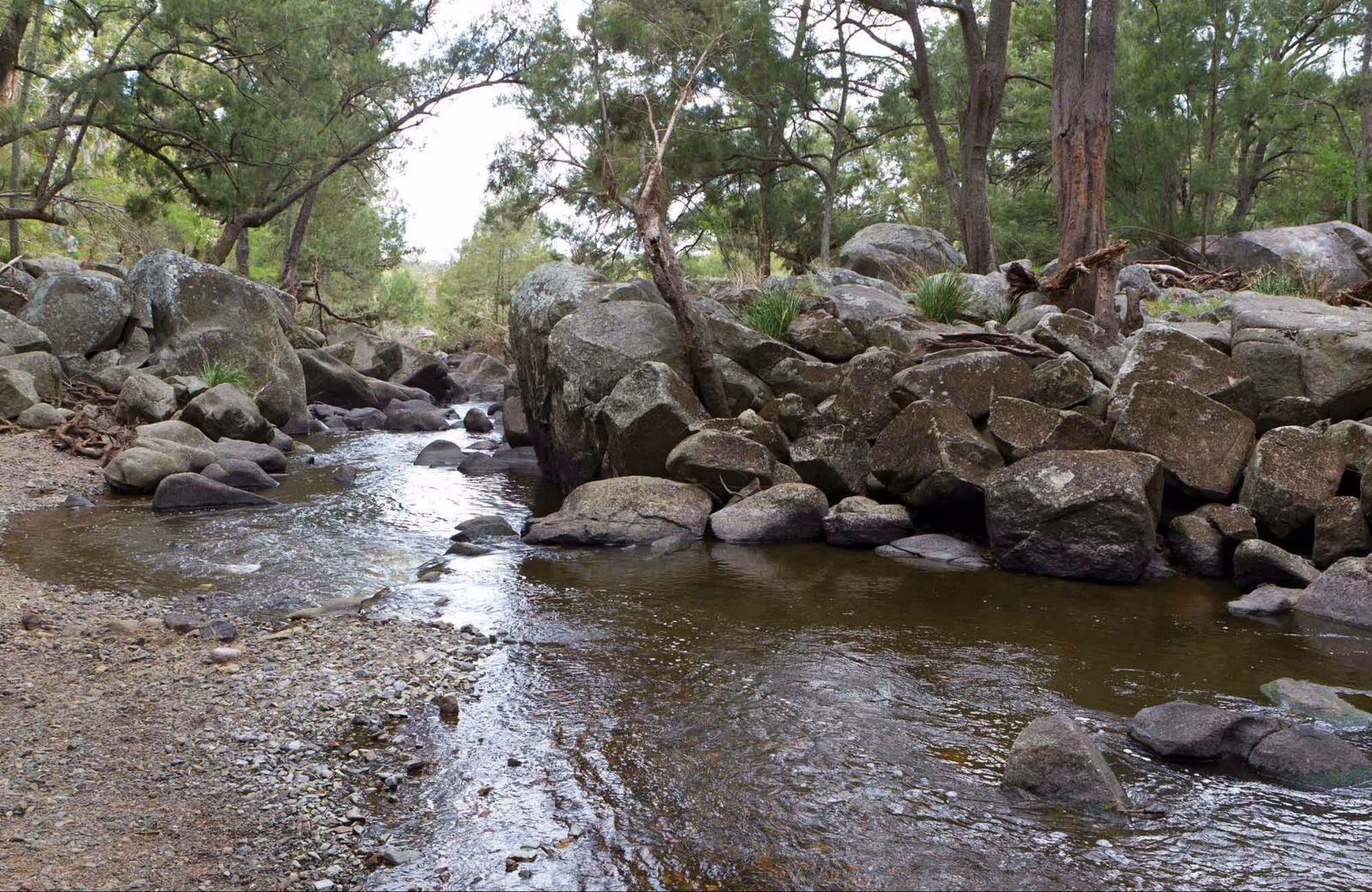 Tilbuster NSW Your Accommodation