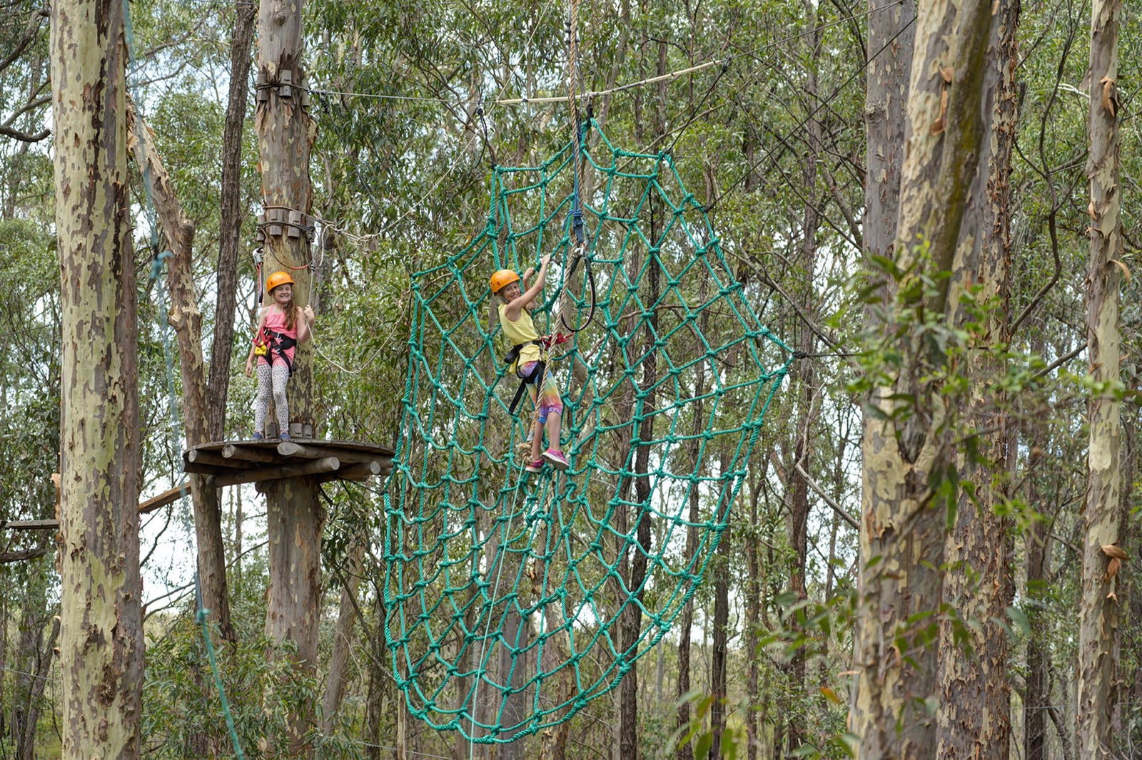 Minmi NSW Your Accommodation