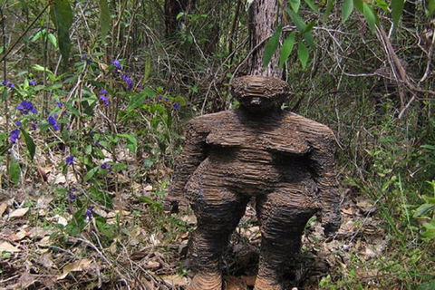 Understory Art In Nature - Your Accommodation 0