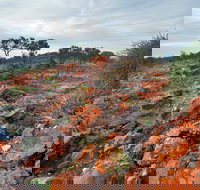 Western Ridge Walk - Your Accommodation