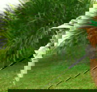 Whitsunday Green Club Golf - Your Accommodation