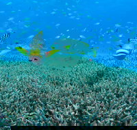 Wreck Bay Dive Site - Your Accommodation