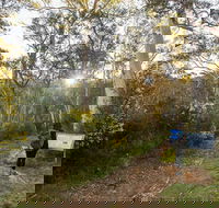Yarrangobilly Caves  River walk - Your Accommodation