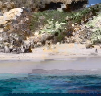 Australian Sea Lions - Your Accommodation