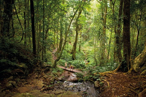 Bunya Mountains National Park - Your Accommodation 1