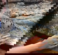 Canberra Reptile Zoo - Your Accommodation