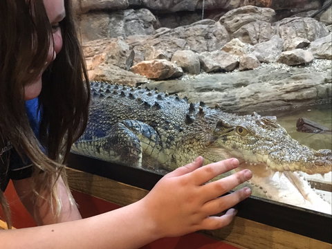 Canberra Reptile Zoo - Your Accommodation 0
