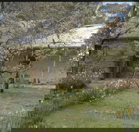 Castlemaine Diggings National Heritage Park - Your Accommodation