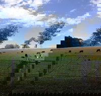 Coramba - Your Accommodation