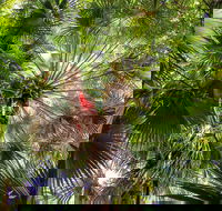 Depot Beach Rainforest Walk - Your Accommodation