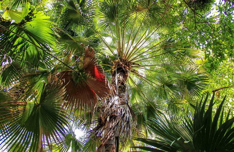 Depot Beach Rainforest Walk - Your Accommodation 0