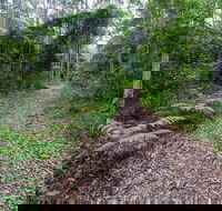 Double Wharf Trail - Your Accommodation
