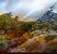 Dove Lake - Your Accommodation