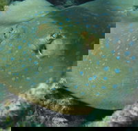 Fitzroy Island Dive Site - Your Accommodation