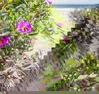 Fort Bribie - Your Accommodation