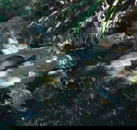 Howard Springs Nature Park - Your Accommodation