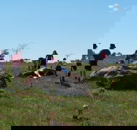 Jim Salmon  Wetland Education Site - Your Accommodation