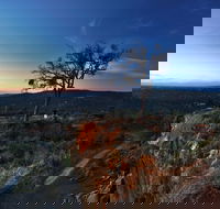 Kalamunda National Park - Your Accommodation