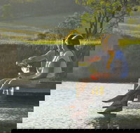 Lovedale - Your Accommodation