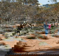 Mallee Stop walking track - Your Accommodation