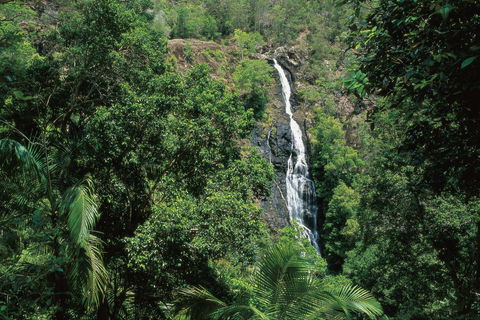 Mapleton Falls National Park - Your Accommodation 0
