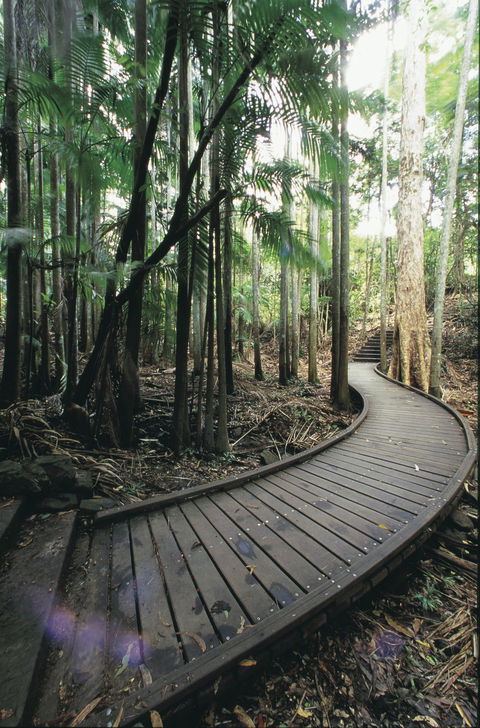 Mapleton Falls National Park - Your Accommodation 1